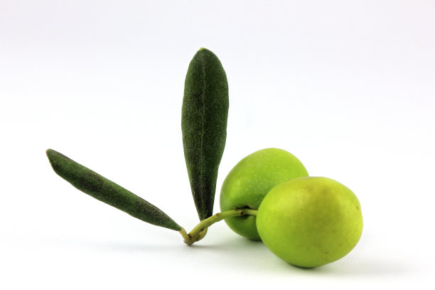 绿橄榄图片下载