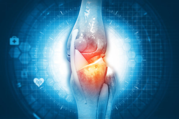 人体膝关节的解剖学图片下载