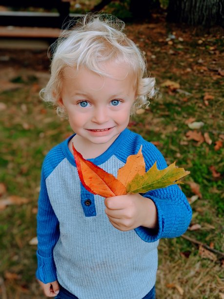 蹒跚学步的孩子抱着落叶图片下载