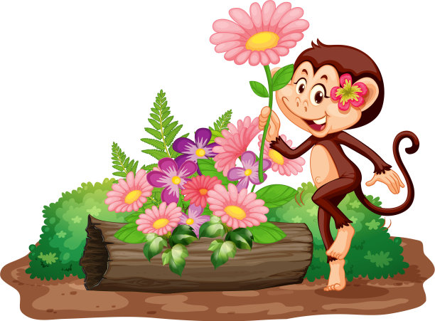 可爱的猴子在花园里的场景图片下载