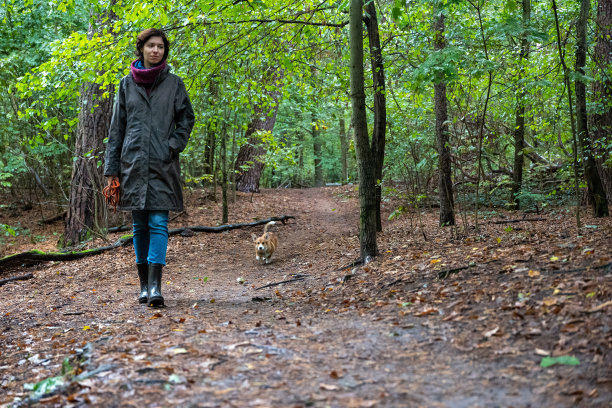 遛狗:一名年轻女子和她的柯基犬在多雨的秋天森林里散步图片下载