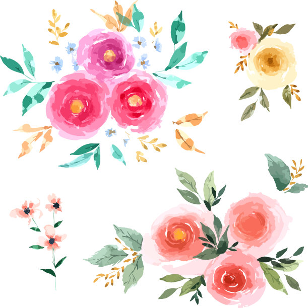 玫瑰花与手绘水彩图片下载