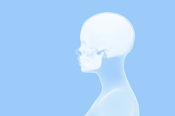 颅骨在人类头部的视图，女性头部扫描的轮廓，蓝色背景与复制空间，3d渲染图片下载