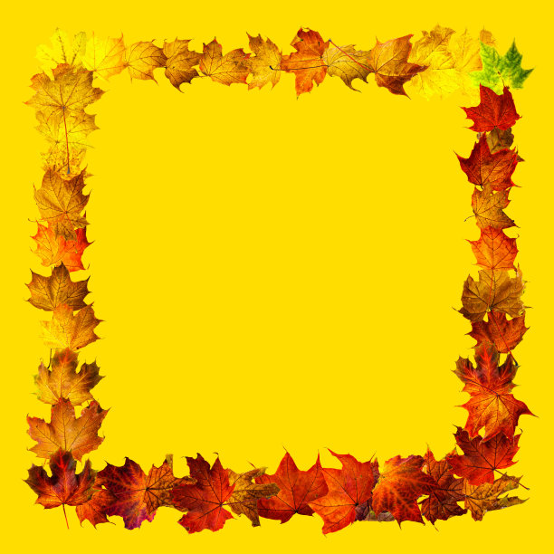 长方形框架的彩色秋天枫叶孤立在黄色。背景与空间的文字俯视图。图片下载