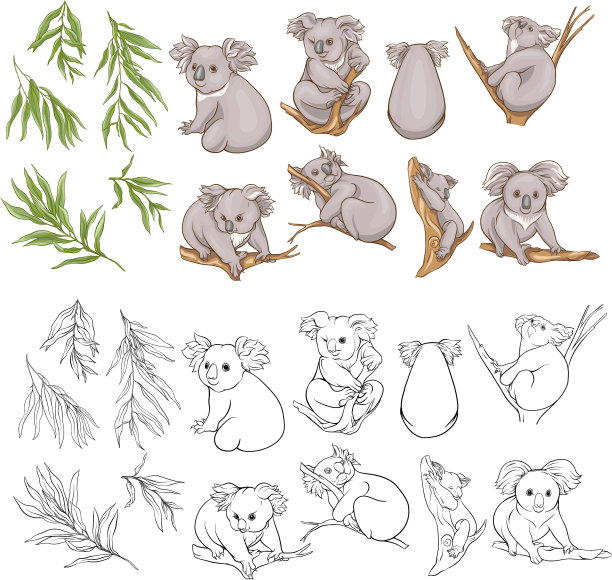 考拉和桉树剪辑艺术设置元素图片下载
