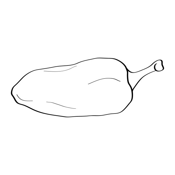 胡椒。手绘涂鸦图标。矢量黑白插图孤立在白色背景。贺卡、海报、贴片、衣服印花、徽章等装饰品。图片下载