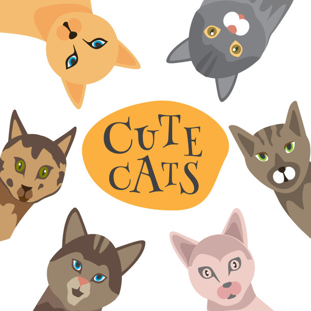 设置可爱有趣的颜色涂鸦不同的猫图片下载