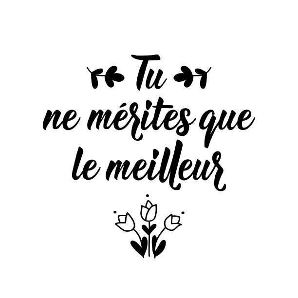 你只值得最好的——法语。刻字。墨水插图。现代的毛笔书法。图片下载