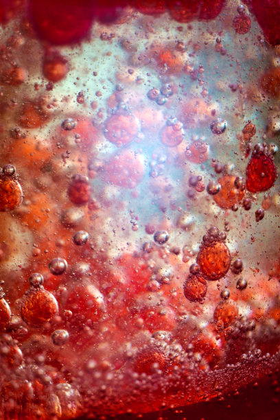 红细胞图片下载