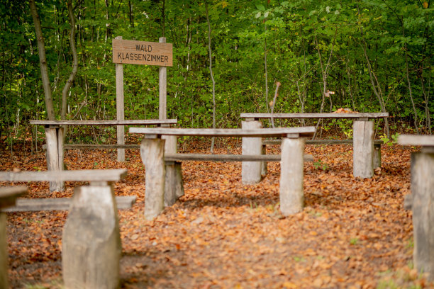 在秋天的森林里，教室里摆着课桌。远程教育。图片下载