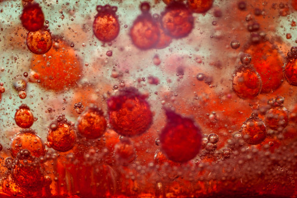 红细胞图片下载