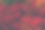 美丽的红橙绿秋花叶黑色背景。图片下载