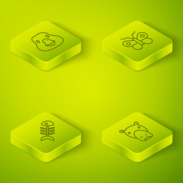 设置等距蝴蝶，鱼骨架，河马或河马和鹅鸟图标。向量图片下载