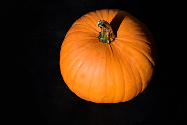 一个橙色的万圣节南瓜站在黑暗的背景的特写图片下载