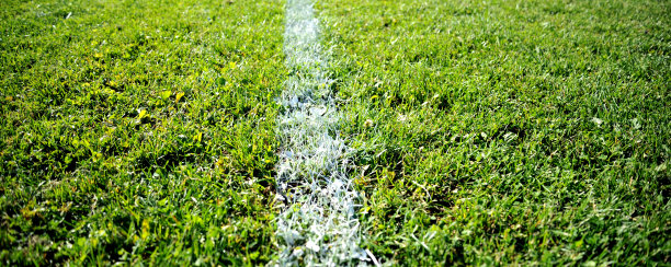 足球场绿草如茵，运动主题图片下载