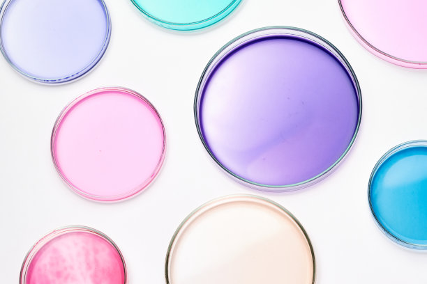 生物医学分析中用于菌落的彩色液体或培养基培养皿。在培养皿中嫁接细菌图片下载