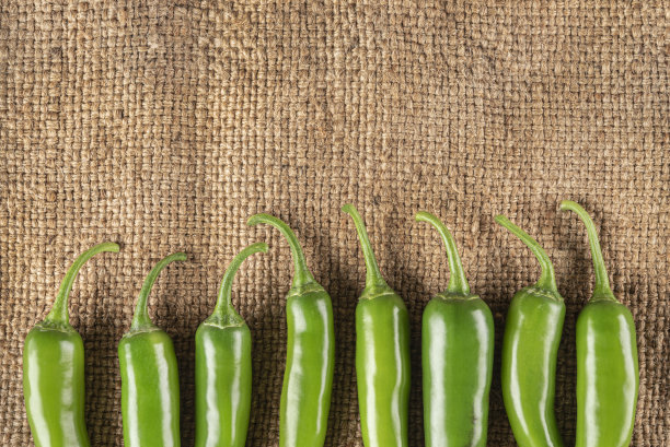 墨西哥辣椒排成一行图片下载