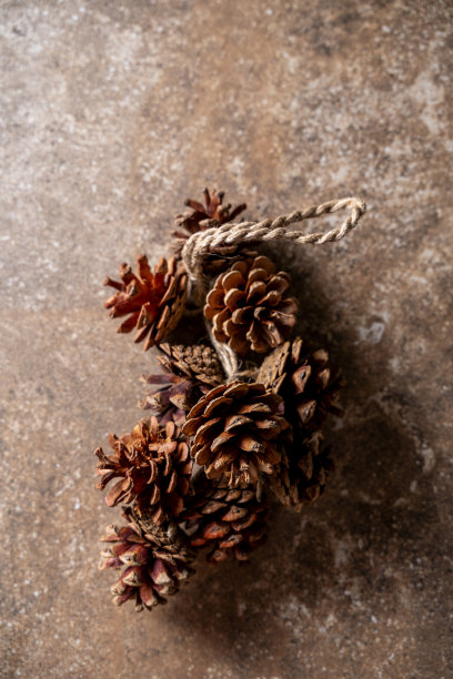 圣诞松果与装饰胸花与一个乡村绳，在棕色垃圾纹理图片下载