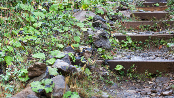 美丽的石道呈阶梯状，在山林中有许多绿色植物。图片下载