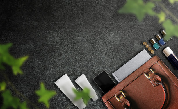 这位女商人包里的东西图片下载