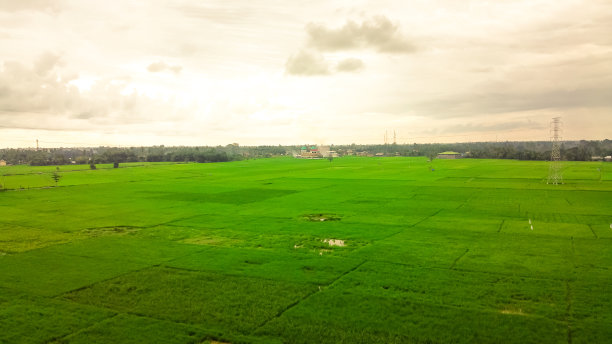 美丽的稻田景色图片下载