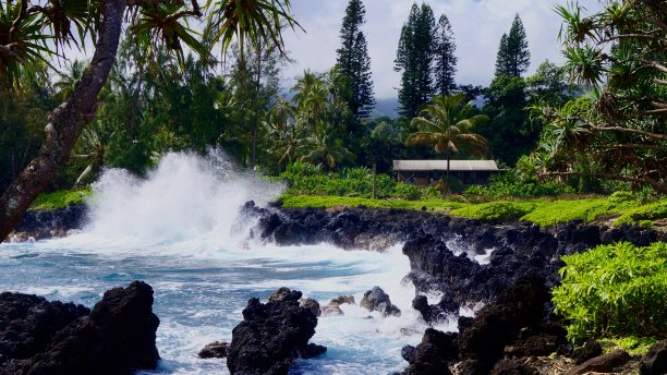 哈娜之路图片下载