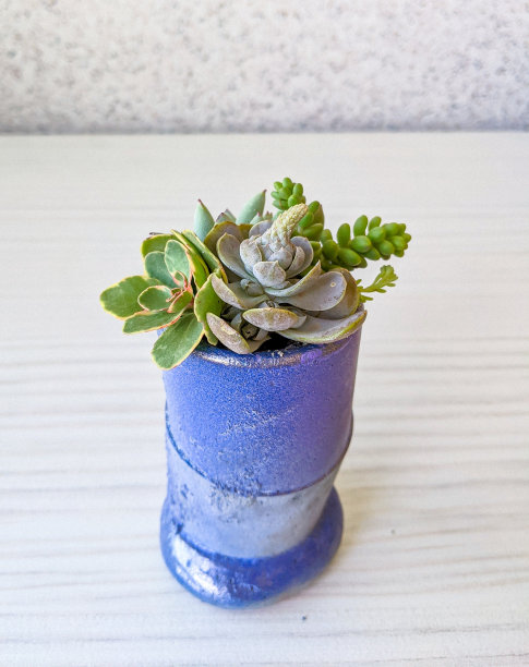 混凝土多汁盆景靛蓝现代花盆图片下载