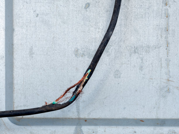 电线损坏，电线被老鼠咬断图片下载
