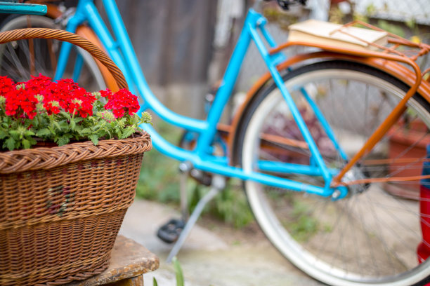 花园里有花的自行车图片下载