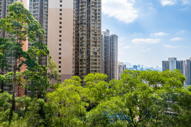 秀茂坪的高层住宅大厦图片下载