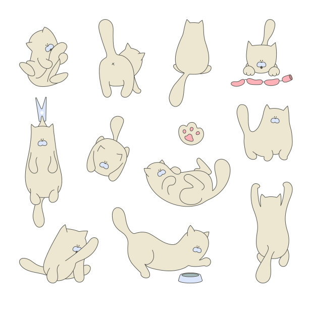 把孤立的可爱的猫和小猫放在里面图片下载