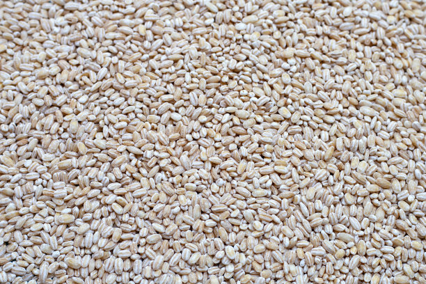 顶视图的生去皮大麦粒。图片下载