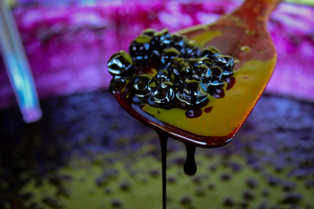 木匙上的野莓，用来做野莓果酱。扎维德维奇，波斯尼亚和黑塞哥维那。图片下载