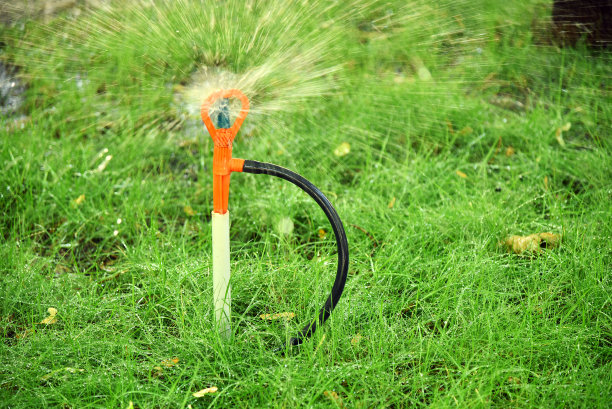 草坪洒水系统灌溉花园草坪草图片下载