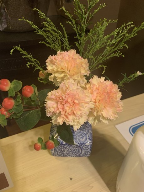 美丽家装花图片下载