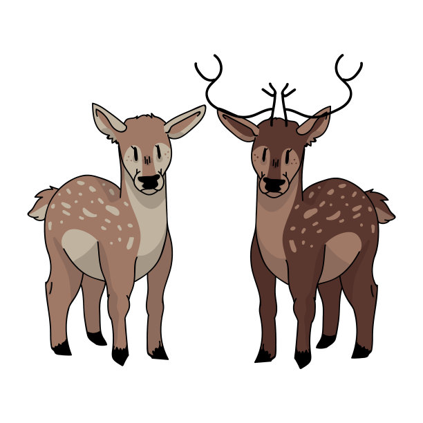 可爱的森林鹿和巴克的爱图片下载