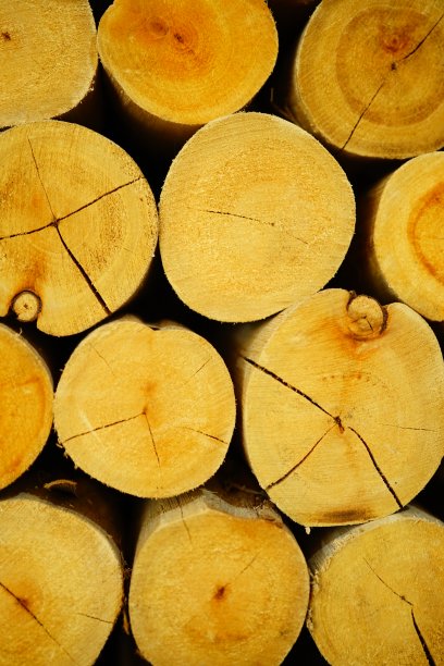 带有木制装饰板的墙图片下载