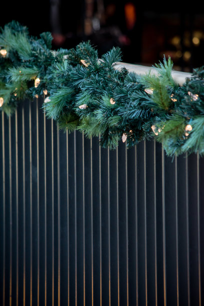 圣诞花环图片下载