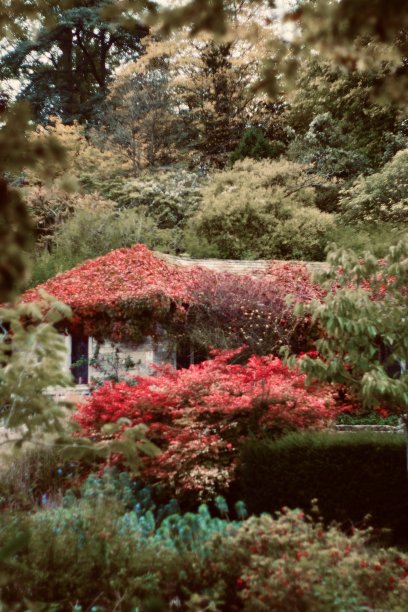 公园里大自然的秋色图片下载