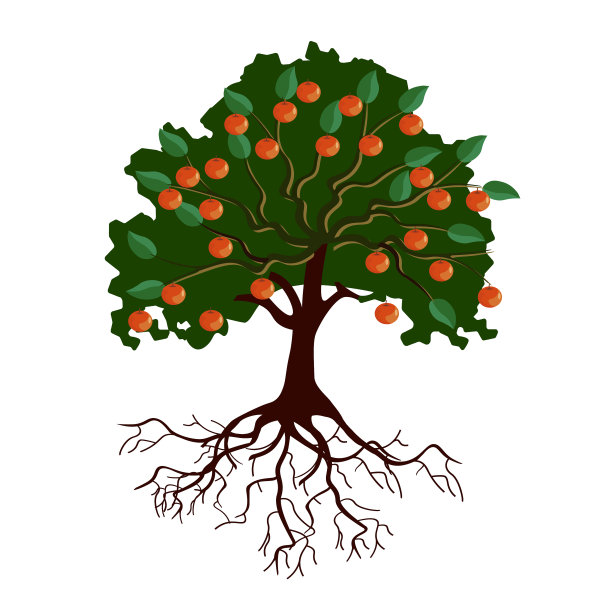 长着果实和树根的大苹果树图片下载