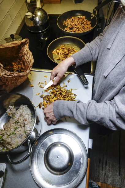 瑞典,斯德哥尔摩图片下载