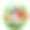 浣熊。卡通风格。年轻的幼崽。向量。可爱的婴儿。图片下载