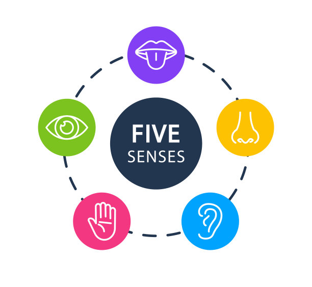 一组五个人类感官图标。视觉，听觉，味觉，嗅觉，触觉。图片下载