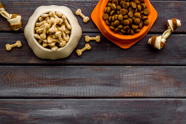 干狗粮碗与骨头，俯视图，复制空间图片下载