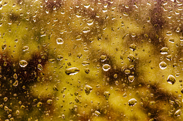 在森林的背景下，秋天的雨滴落在窗户上图片下载