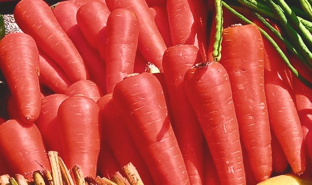 鲜红胡萝卜蔬菜图片下载