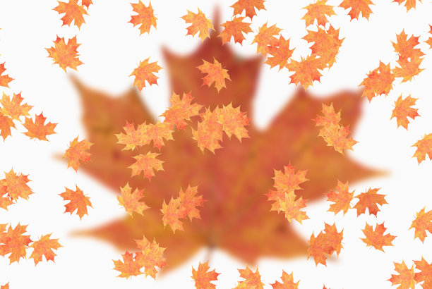 秋天色彩斑斓的树叶。自然背景。创造性的布局。季节模式。三维演示图片下载