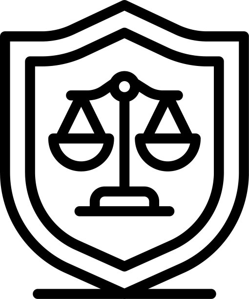 判断平衡盾图标轮廓风格图片下载