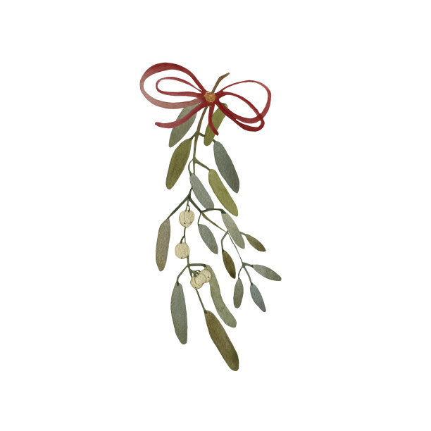 一个带有红色丝带的槲寄生树枝的水彩画插图。手绘水彩，适用于各种类型的设计和印刷。图片下载