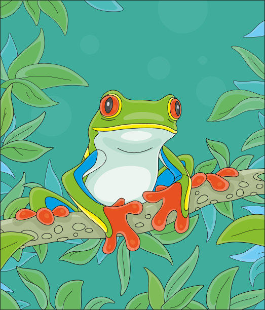 有趣的彩色热带青蛙在树枝上图片下载
